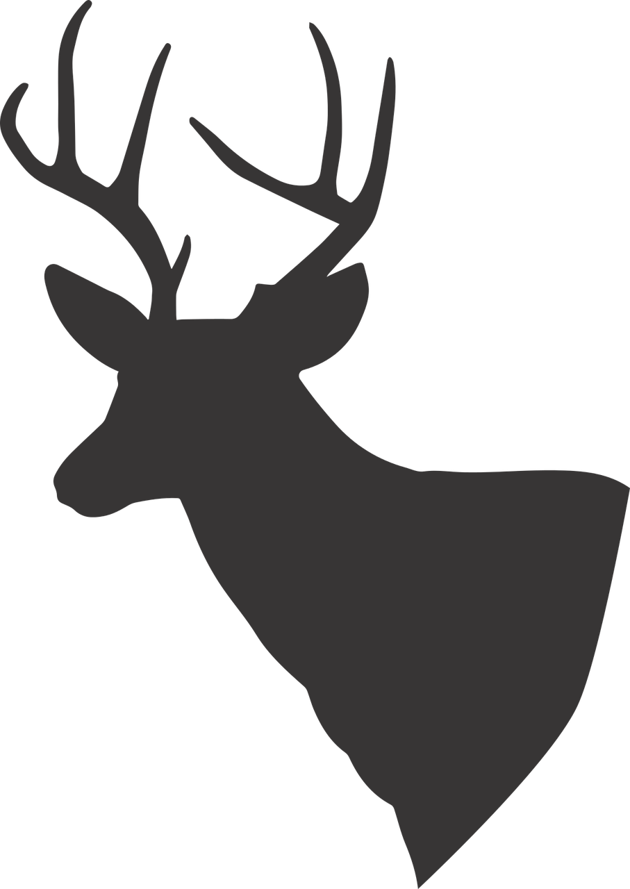 deer, deer silhouette, silhouette-1529440.jpg