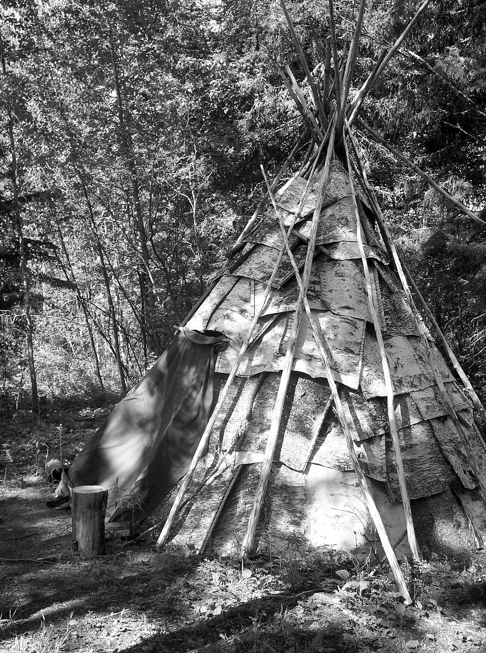 wigwam, tepee, tipi-436190.jpg